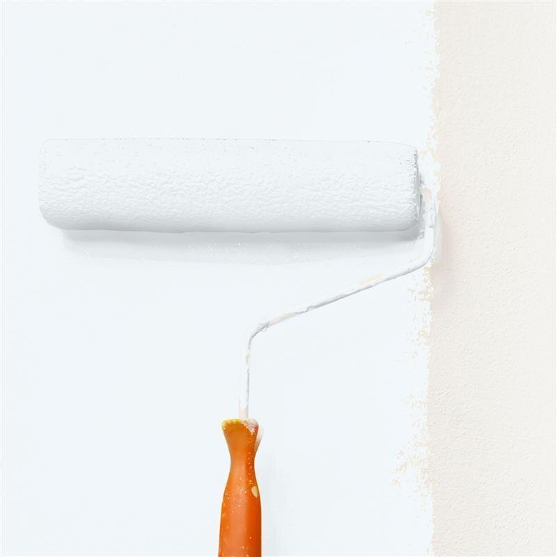 Wandfarbe NCS-S-0502-B Morgenhauch von Wallcover Colors