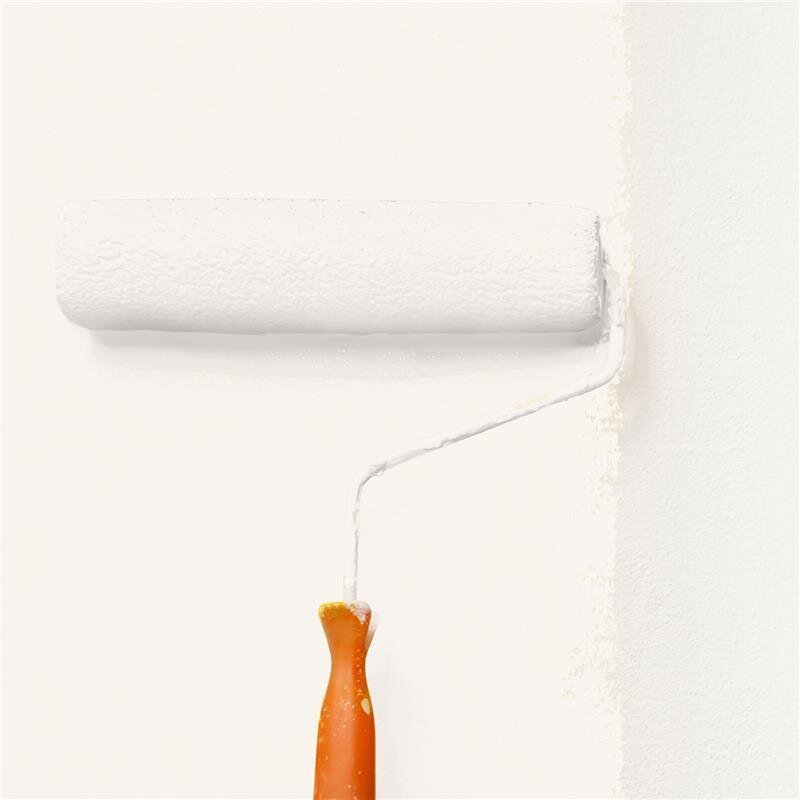 Wandfarbe NCS-S-0502-Y50R Sanfte Rosé-Crème von Wallcover Colors