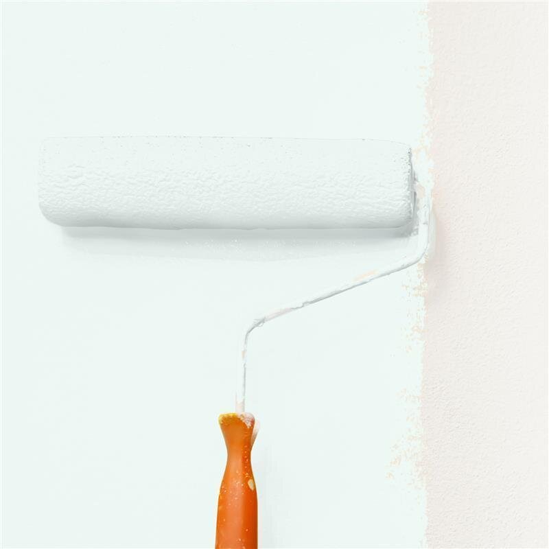 Wandfarbe NCS-S-0505-B80G Nordisches Nebelgrün von Wallcover Colors