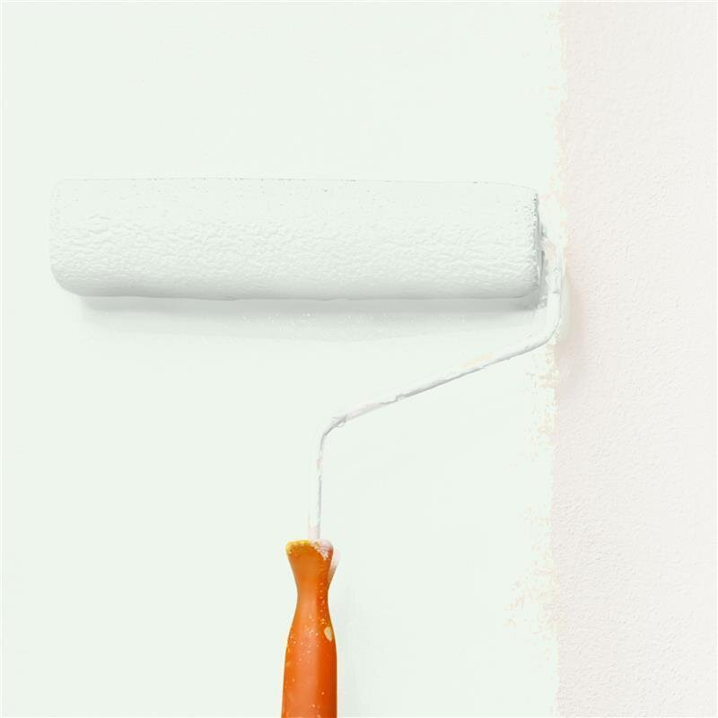 Wandfarbe NCS-S-0505-G20Y Frühlingsfrische von Wallcover Colors