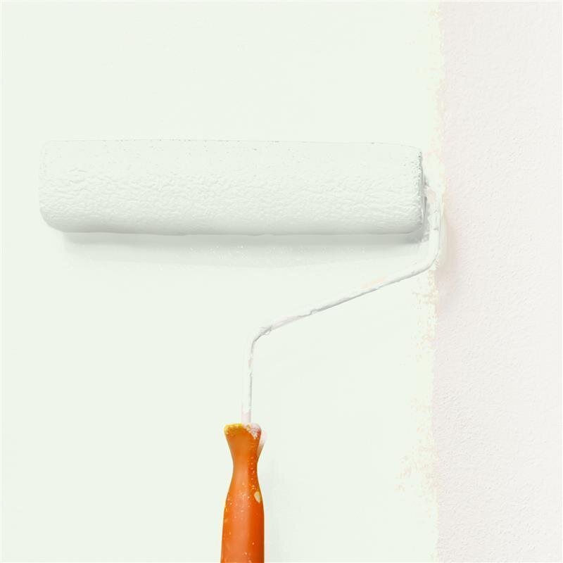 Wandfarbe NCS-S-0505-G30Y Frühlingshauch von Wallcover Colors