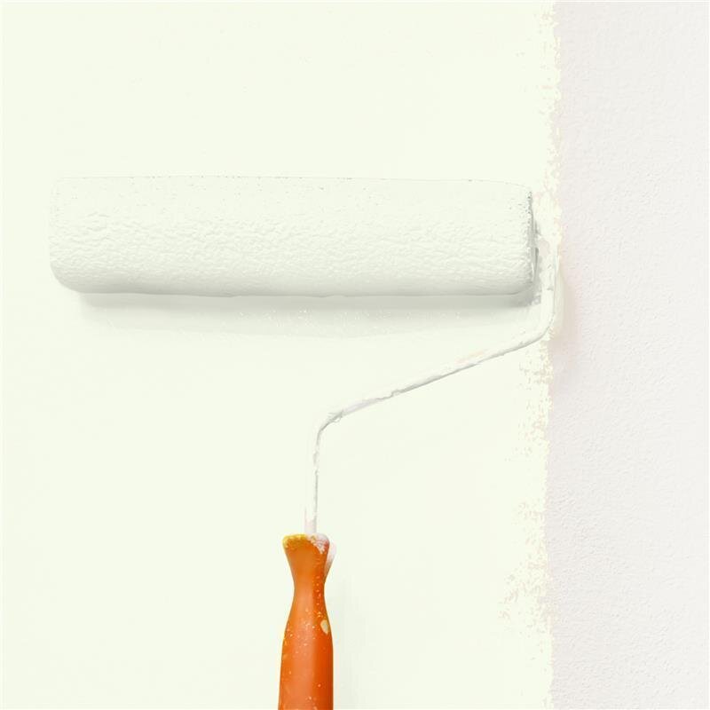 Wandfarbe NCS-S-0505-G50Y Sanftes Naturgrün von Wallcover Colors