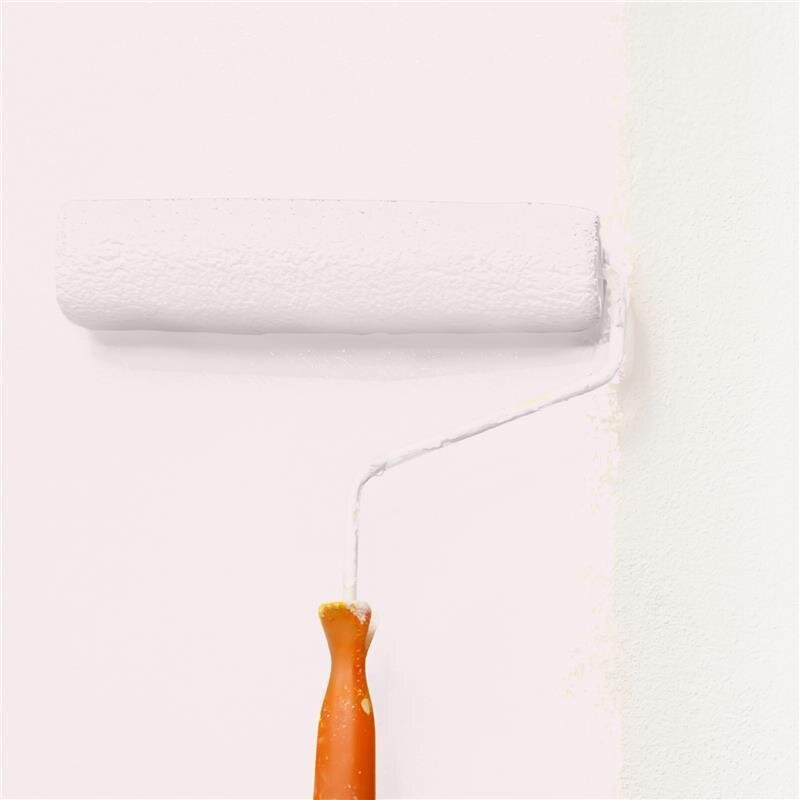 Wandfarbe NCS-S-0505-R10B Sanftes Rosé von Wallcover Colors