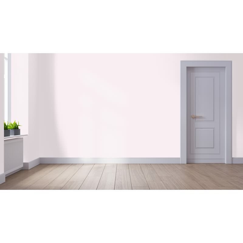 Wandfarbe NCS-S-0505-R20B Rosé Eleganz von Wallcover Colors