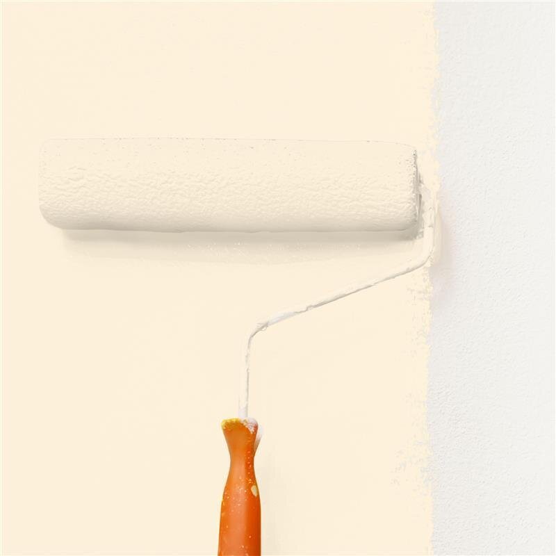 Wandfarbe NCS-S-0505-Y30R Sanfte Aprikosencreme von Wallcover Colors