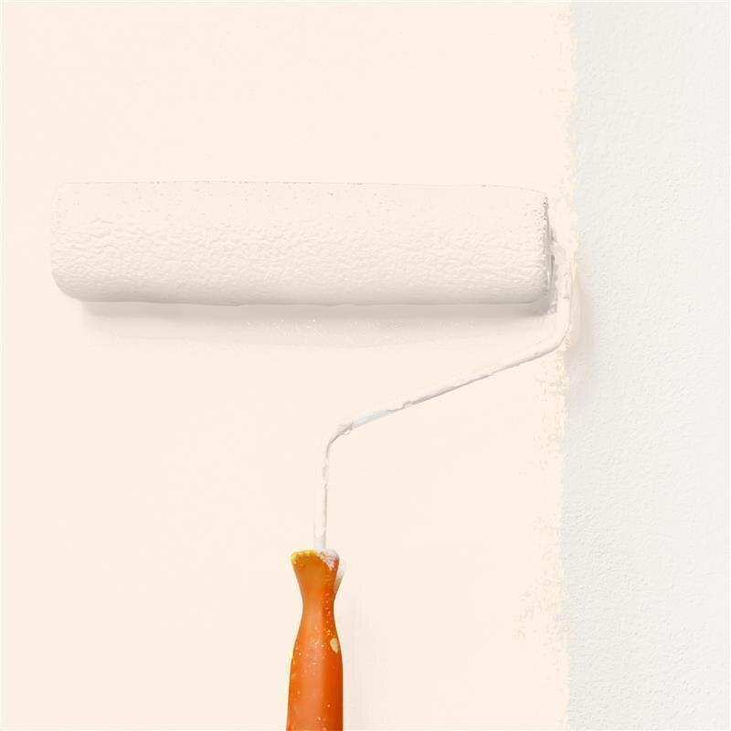 Wandfarbe NCS-S-0505-Y60R Aprikosenhauch von Wallcover Colors