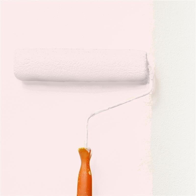 Wandfarbe NCS-S-0507-R Rosézauber von Wallcover Colors