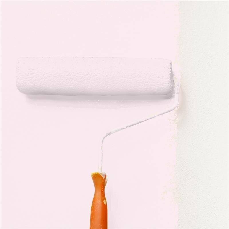 Wandfarbe NCS-S-0507-R20B Rosé Eleganz von Wallcover Colors