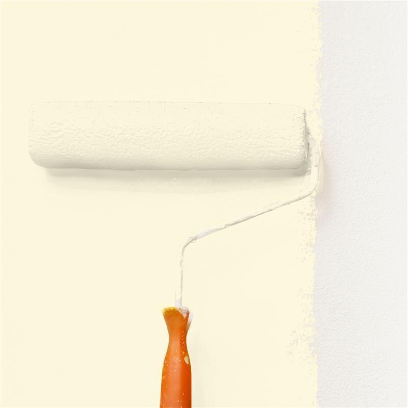 Wandfarbe NCS-S-0507-Y Morgensonnenlicht von Wallcover Colors