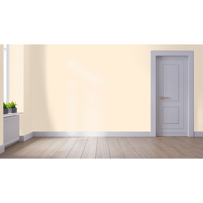 Wandfarbe NCS-S-0507-Y40R Sonnenuntergangszauber von Wallcover Colors