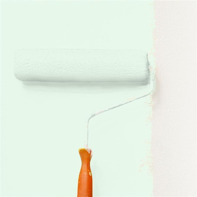 Wandfarbe NCS-S-0510-G10Y Frühlingsfrische von Wallcover Colors