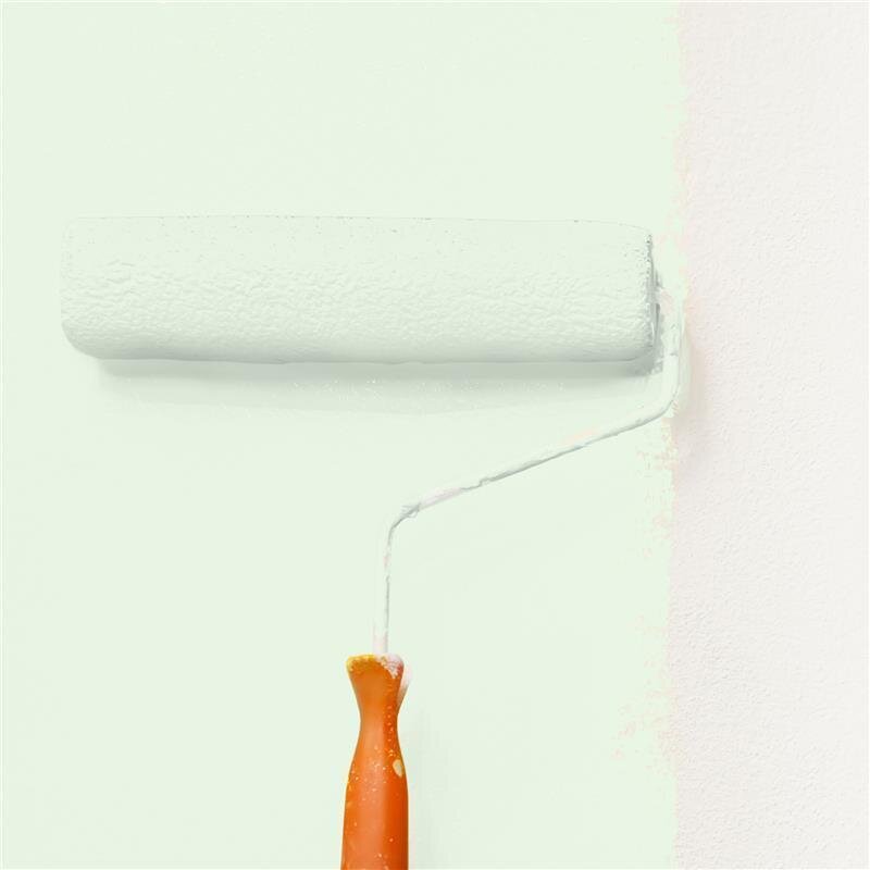 Wandfarbe NCS-S-0510-G20Y Frühlingshauch von Wallcover Colors