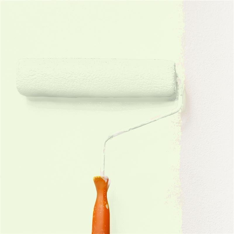 Wandfarbe NCS-S-0510-G40Y Frühlingsgrün von Wallcover Colors