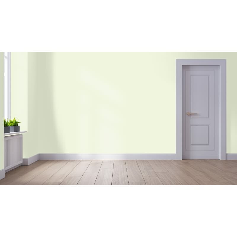 Wandfarbe NCS-S-0510-G50Y Frühlingspastell von Wallcover Colors