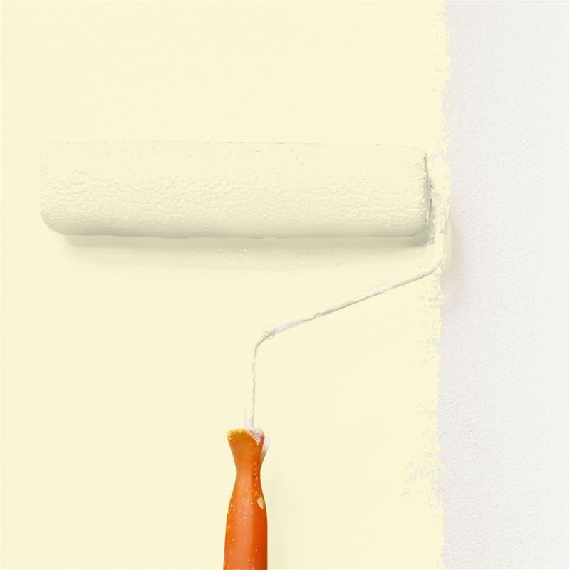 Wandfarbe NCS-S-0510-G90Y Frühlingshauch von Wallcover Colors