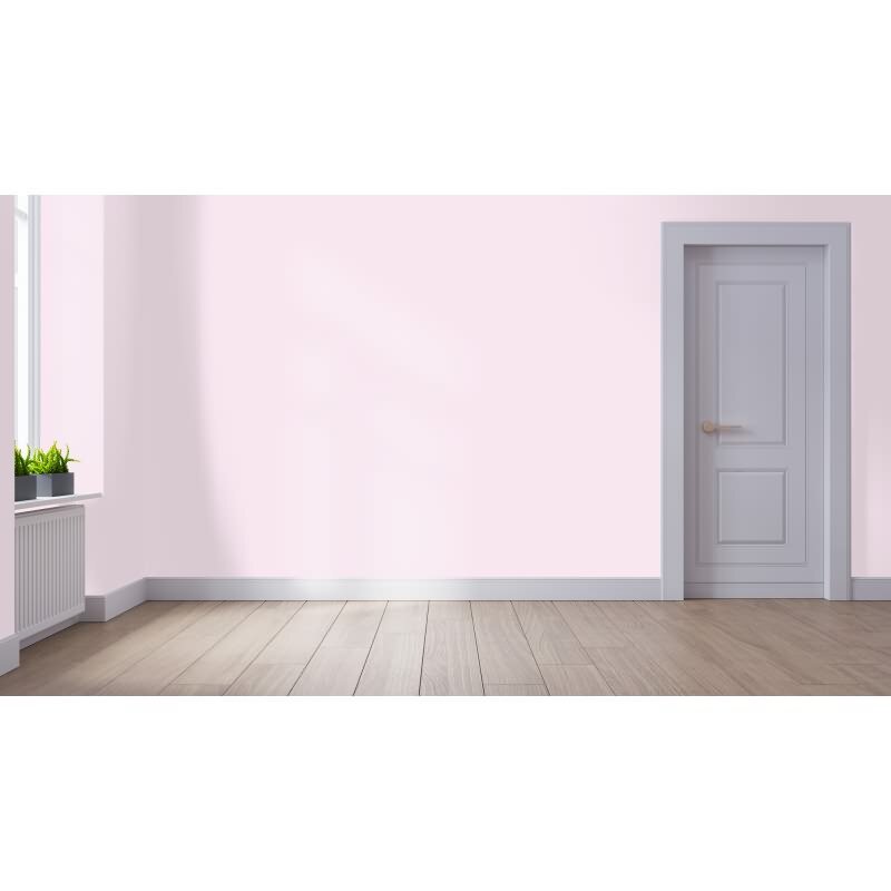 Wandfarbe NCS-S-0510-R30B Rosé Eleganz von Wallcover Colors