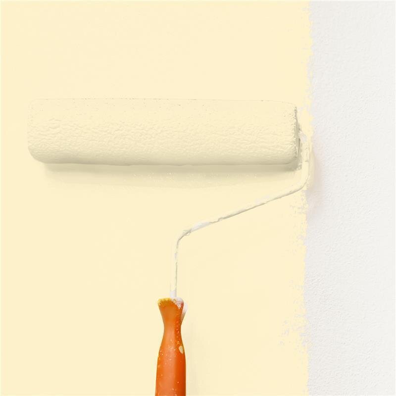 Wandfarbe NCS-S-0510-Y10R Morgensonnenlicht von Wallcover Colors