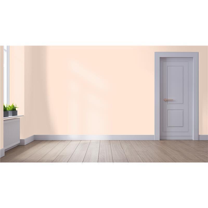 Wandfarbe NCS-S-0510-Y60R Aprikosenmorgen von Wallcover Colors