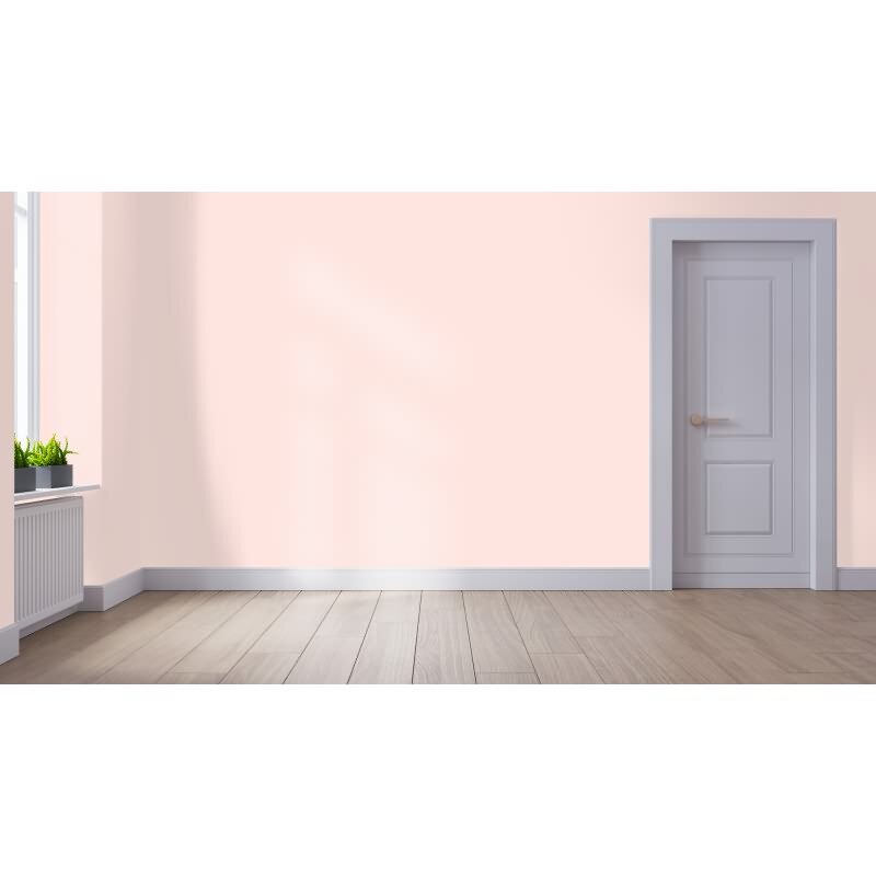 Wandfarbe NCS-S-0510-Y90R Frühlingsrosé von Wallcover Colors