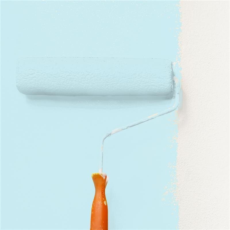 Wandfarbe NCS-S-0515-B20G Nordisches Blaugrün von Wallcover Colors