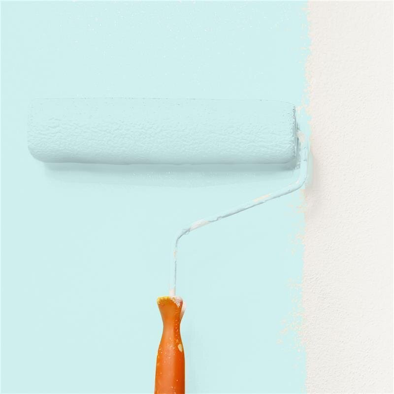 Wandfarbe NCS-S-0515-B50G Frühlingsmorgen von Wallcover Colors