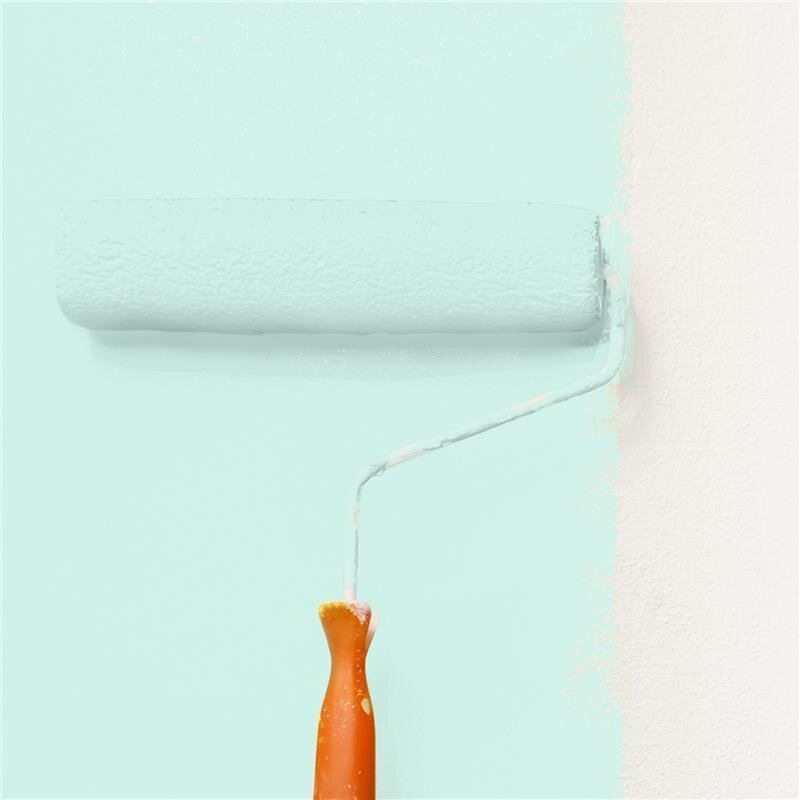 Wandfarbe NCS-S-0515-B80G Morgenfrische von Wallcover Colors