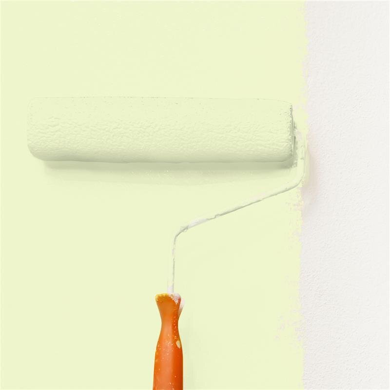 Wandfarbe NCS-S-0515-G60Y Frühlingsmorgen von Wallcover Colors