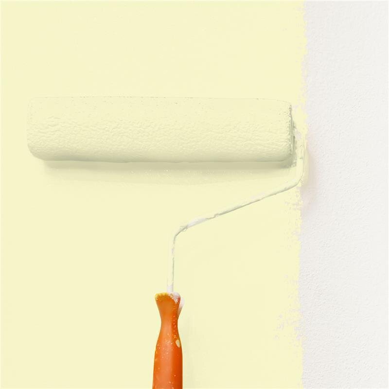 Wandfarbe NCS-S-0515-G80Y Frühlingsgrün von Wallcover Colors