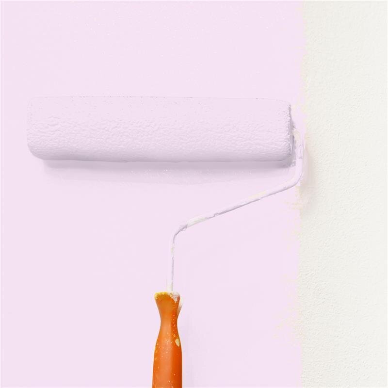 Wandfarbe NCS-S-0515-R40B Rosé-Tau von Wallcover Colors