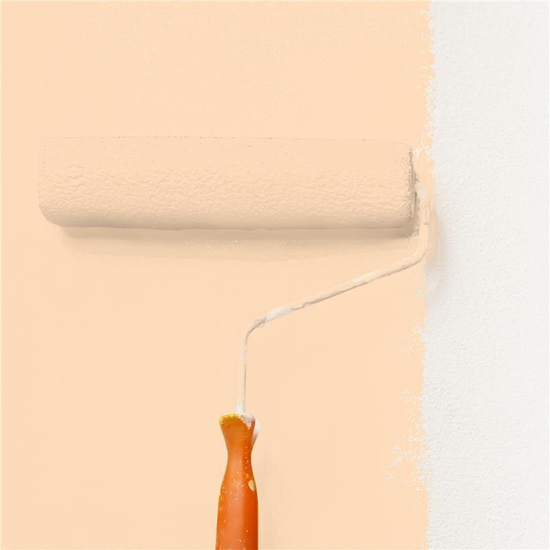 Wandfarbe NCS-S-0515-Y40R Honigbeige von Wallcover Colors