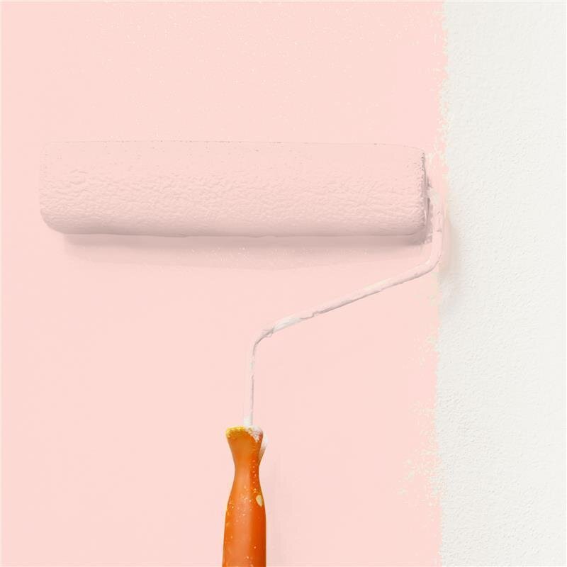 Wandfarbe NCS-S-0515-Y90R Frühlingsmorgen von Wallcover Colors