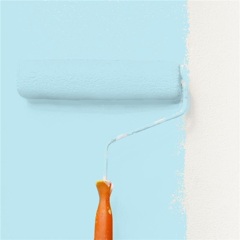 Wandfarbe NCS-S-0520-B10G Morgenfrische von Wallcover Colors