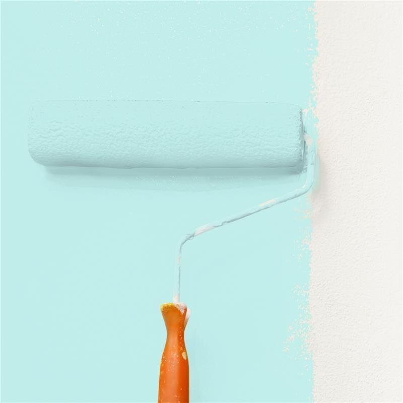 Wandfarbe NCS-S-0520-B50G Frühlingsfrische von Wallcover Colors