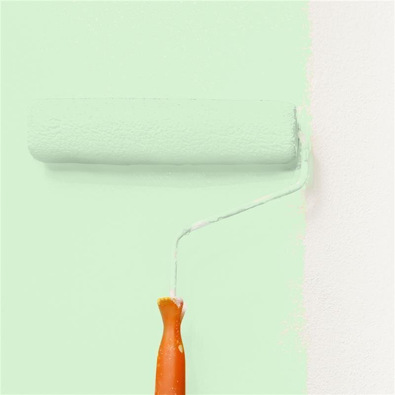 Wandfarbe NCS-S-0520-G20Y Frühlingsfrische von Wallcover Colors