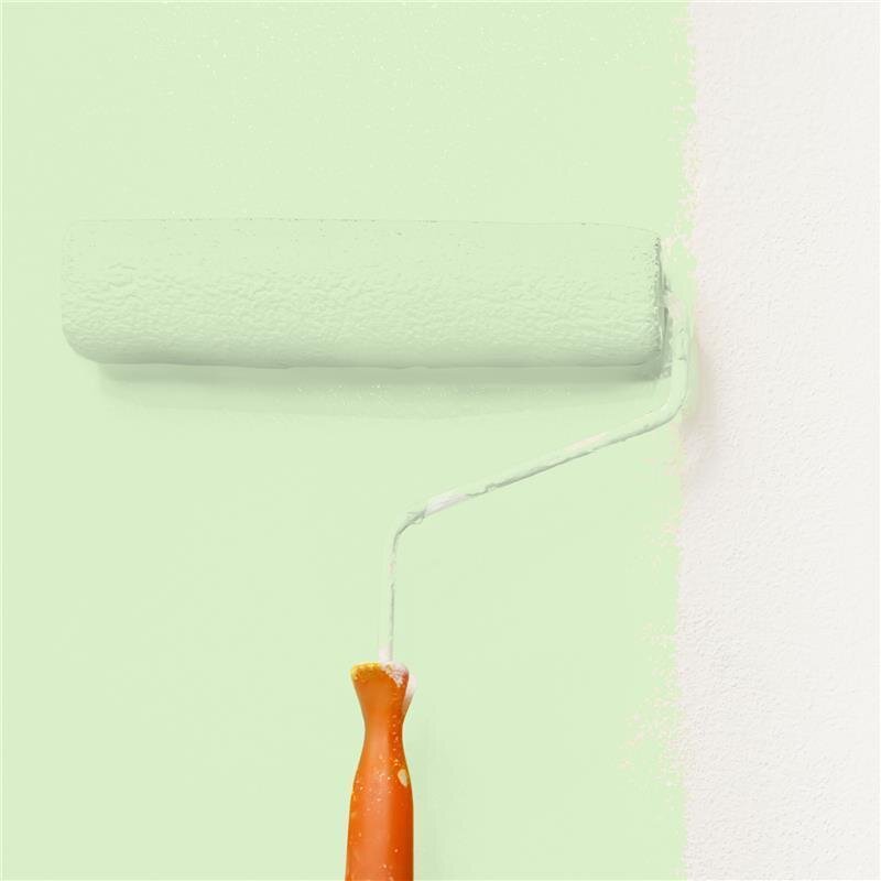 Wandfarbe NCS-S-0520-G30Y Frühlingsgrün von Wallcover Colors