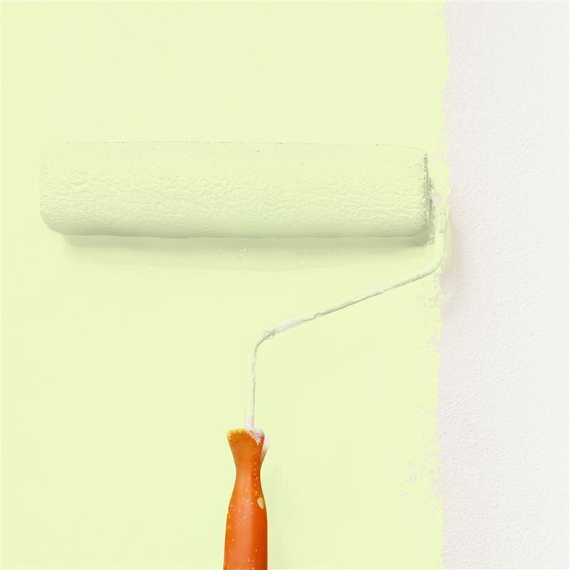 Wandfarbe NCS-S-0520-G50Y Frühlingsgrün von Wallcover Colors