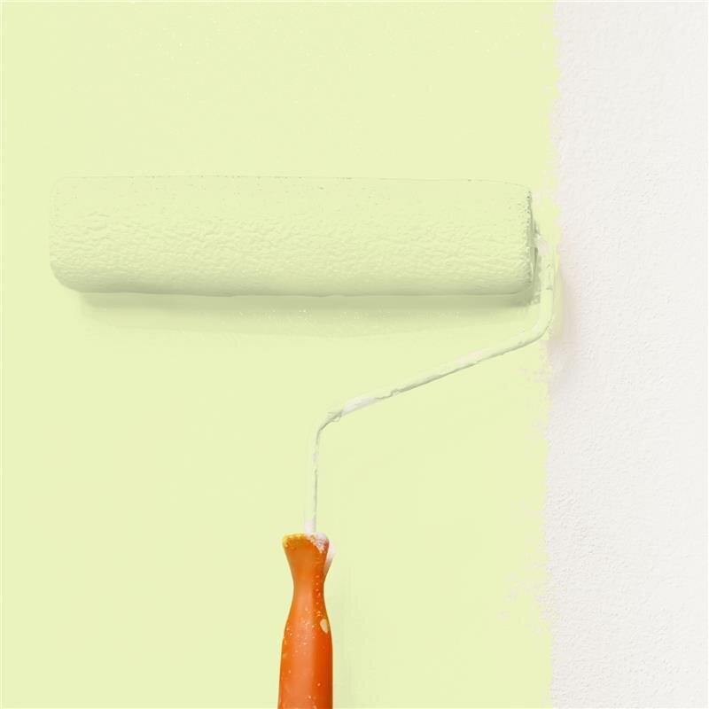 Wandfarbe NCS-S-0520-G60Y Frühlingsgrün von Wallcover Colors