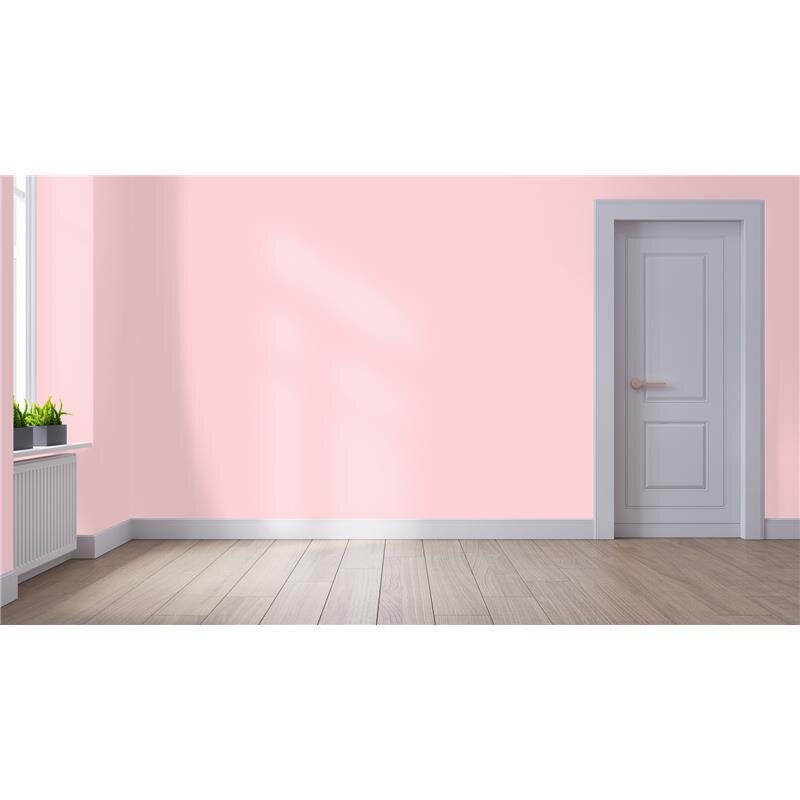 Wandfarbe NCS-S-0520-R10B Rosé Eleganz von Wallcover Colors