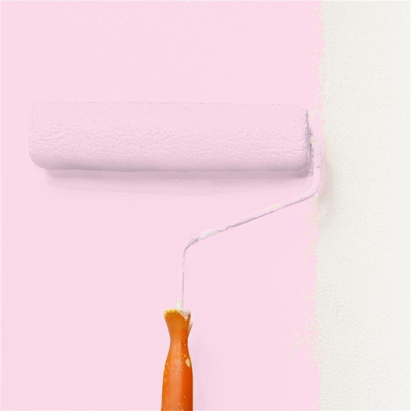 Wandfarbe NCS-S-0520-R30B Rosé Eleganz von Wallcover Colors