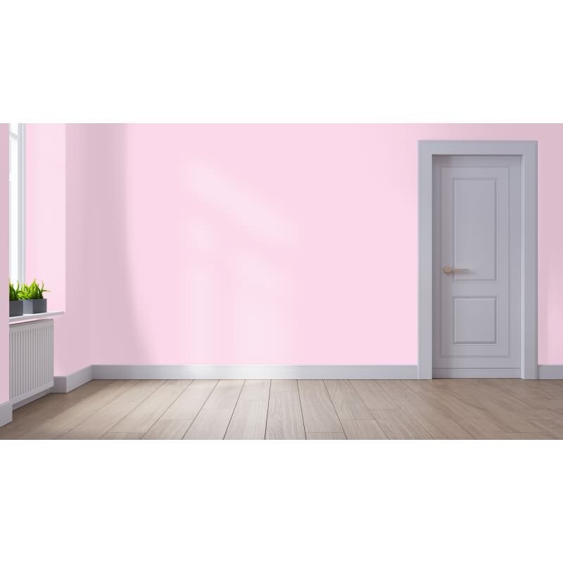 Wandfarbe NCS-S-0520-R30B Rosé Eleganz von Wallcover Colors
