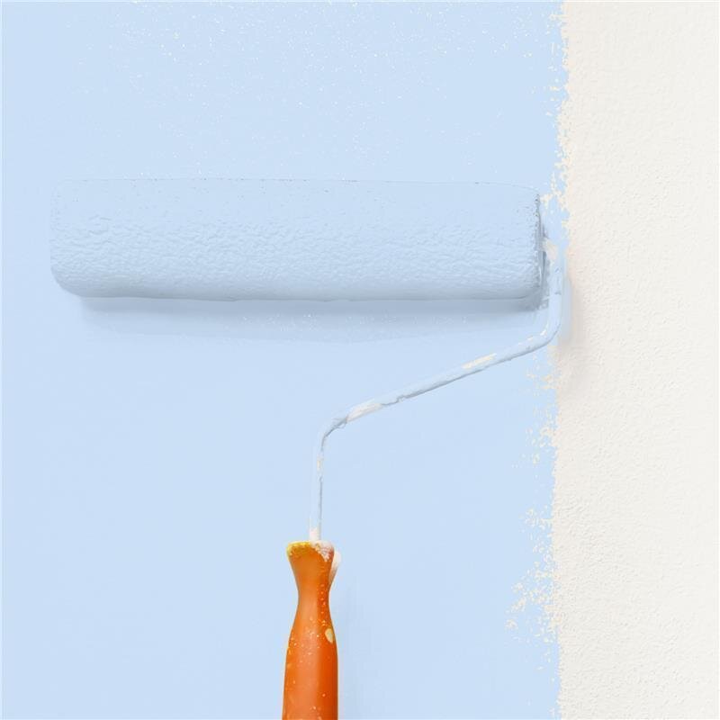 Wandfarbe NCS-S-0520-R80B Rosé Eleganz von Wallcover Colors