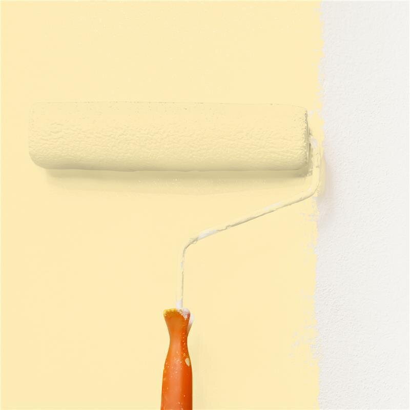 Wandfarbe NCS-S-0520-Y10R Morgensonnenhauch von Wallcover Colors