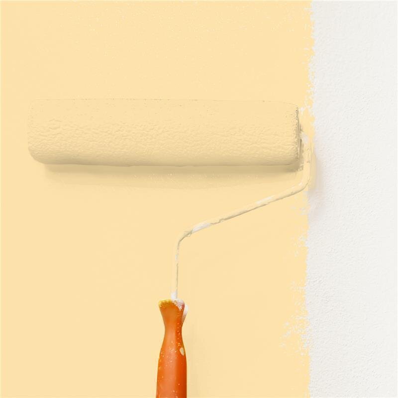 Wandfarbe NCS-S-0520-Y20R Morgensonnen-Aprikose von Wallcover Colors