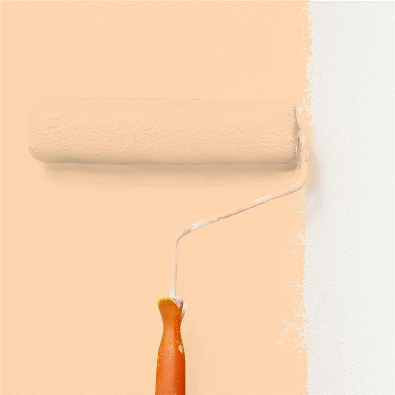 Wandfarbe NCS-S-0520-Y40R Honigrosé von Wallcover Colors