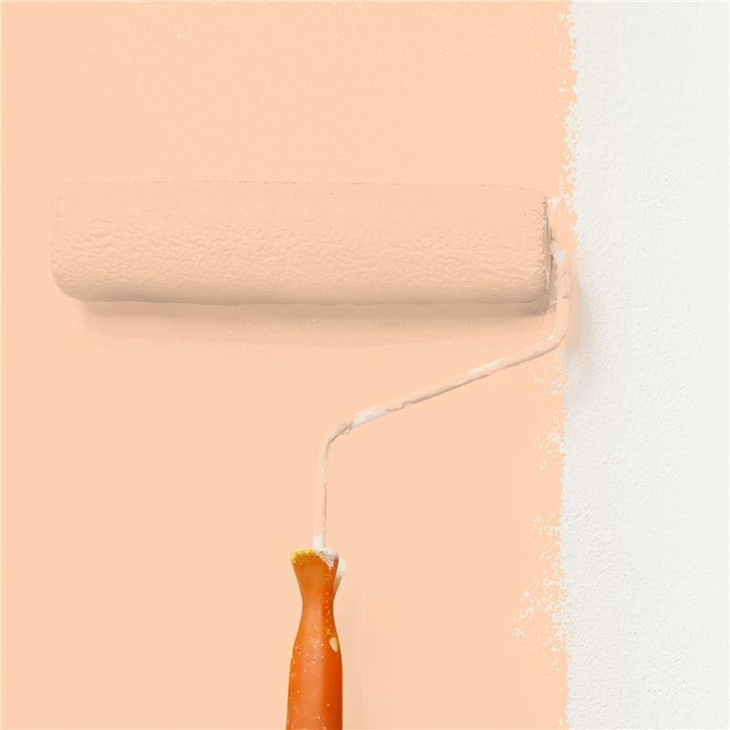 Wandfarbe NCS-S-0520-Y50R Sonnengold von Wallcover Colors