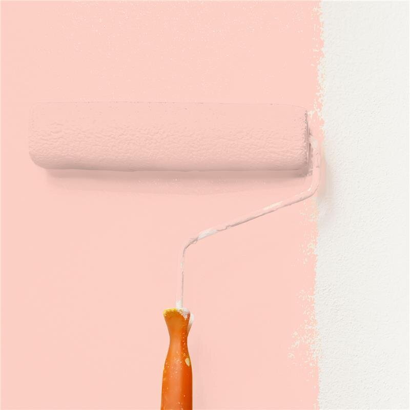 Wandfarbe NCS-S-0520-Y80R Pastell-Apricot von Wallcover Colors