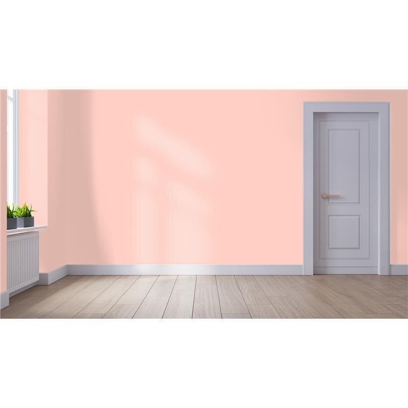 Wandfarbe NCS-S-0520-Y80R Pastell-Apricot von Wallcover Colors