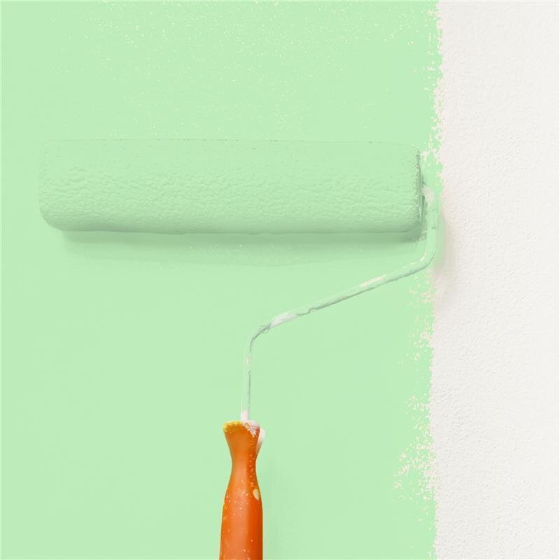 Wandfarbe NCS-S-0530-G20Y Frühlingsgrün von Wallcover Colors