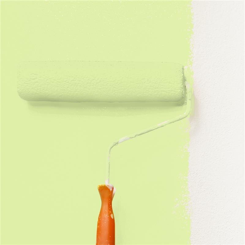 Wandfarbe NCS-S-0530-G50Y Frühlingswiese von Wallcover Colors