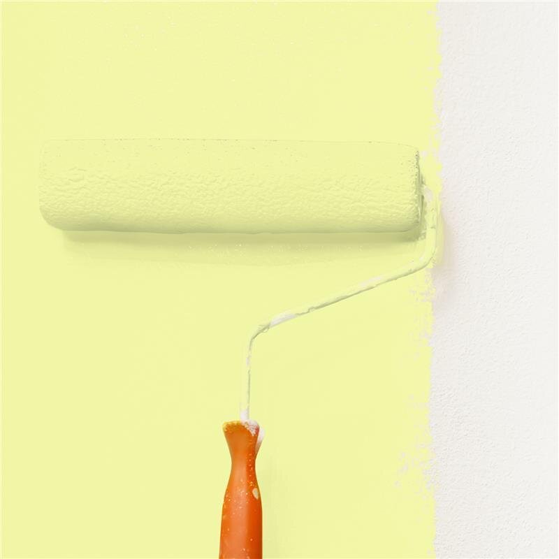 Wandfarbe NCS-S-0530-G70Y Frühlingsgrün von Wallcover Colors